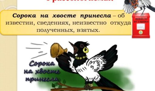 Словарь фразеологизмов с птицами