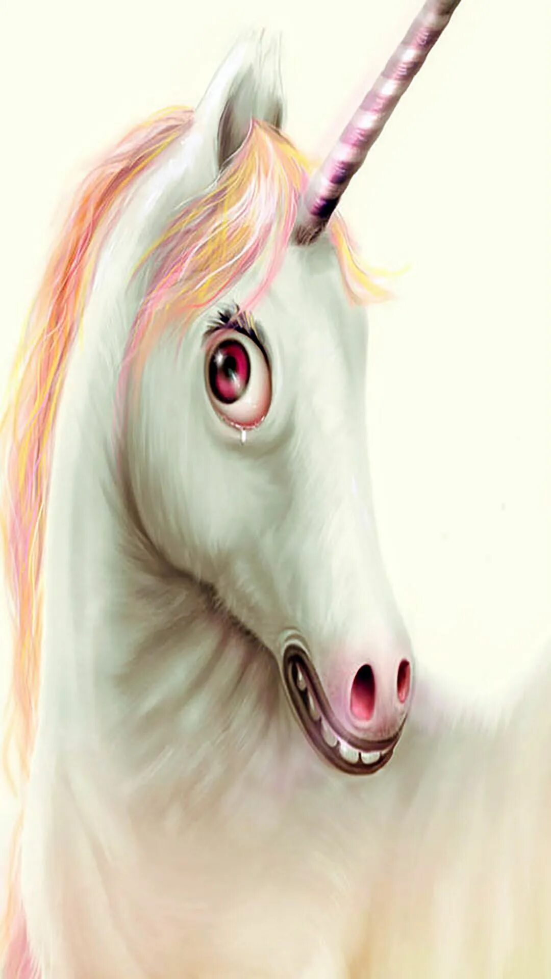 Unicorn Diana Di Unicorn Diana Di