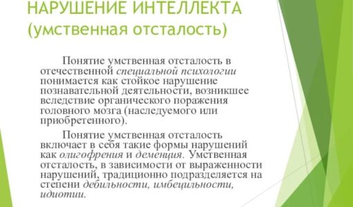 Интеллект уо