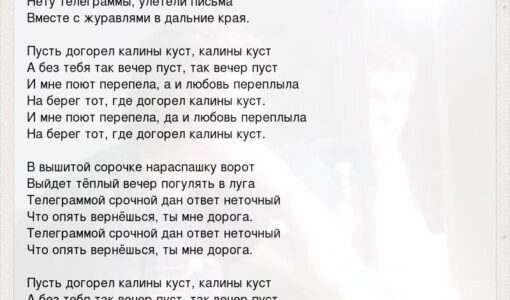 Текст песни куст калины ольги захаровой